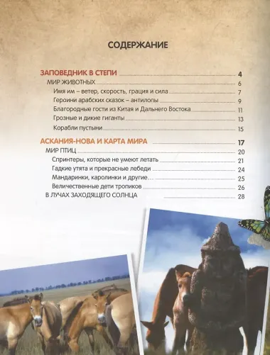 О птичках, рыбках и зверюшках. (Первый шаг в науку). 2021
