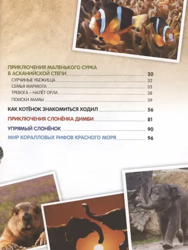 О птичках, рыбках и зверюшках. (Первый шаг в науку). 2021