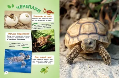 Самые милые животные. Большая энциклопедия для маленьких