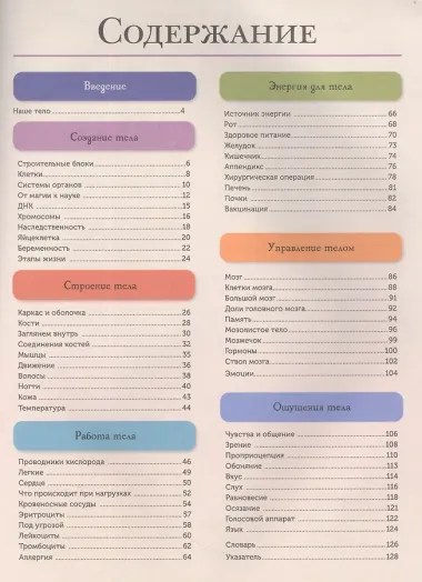 Тело человека