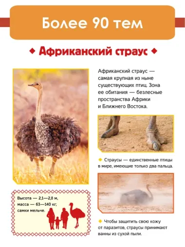 Животные
