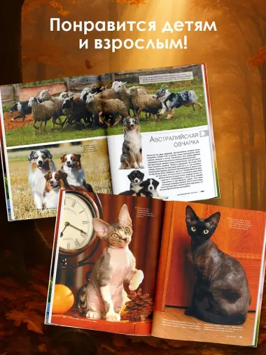 Большая книга о кошках и собаках. 1001 фотография