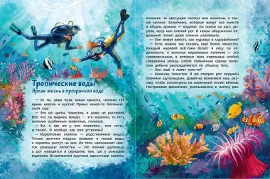 Океаны и моря. Детская энциклопедия (Чевостик) (Paperback)