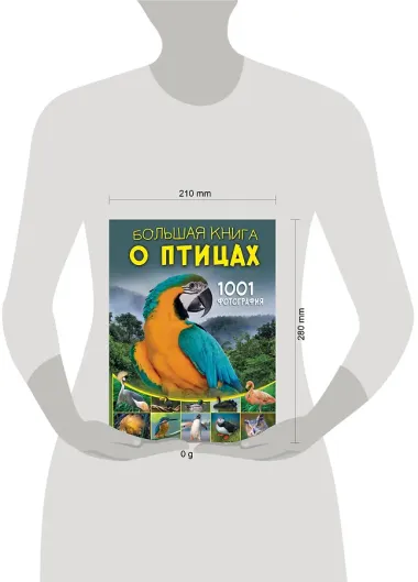 Большая книга о птицах. 1001 фотография