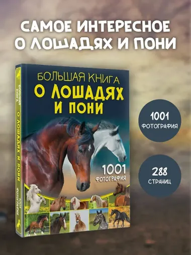 Большая книга о лошадях и пони. 1001 фотография