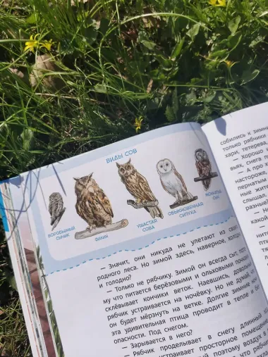 Птицы. Детская энциклопедия (Чевостик)