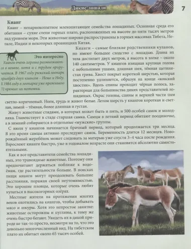 Лошади. Энциклопедия