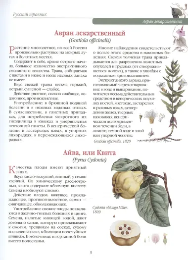 Русский травник