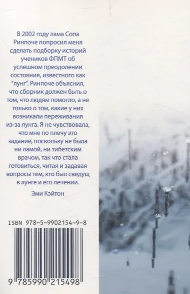 Гармоничный ум, гармоничное тело. Болезнь ветра. Истории и советы от практикующих тибетский буддизм